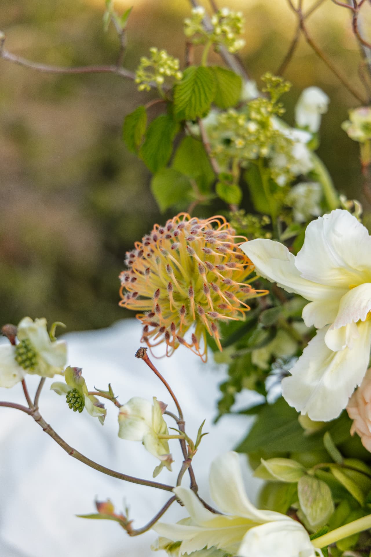 Pincushion protea with cream peonies and garden branches