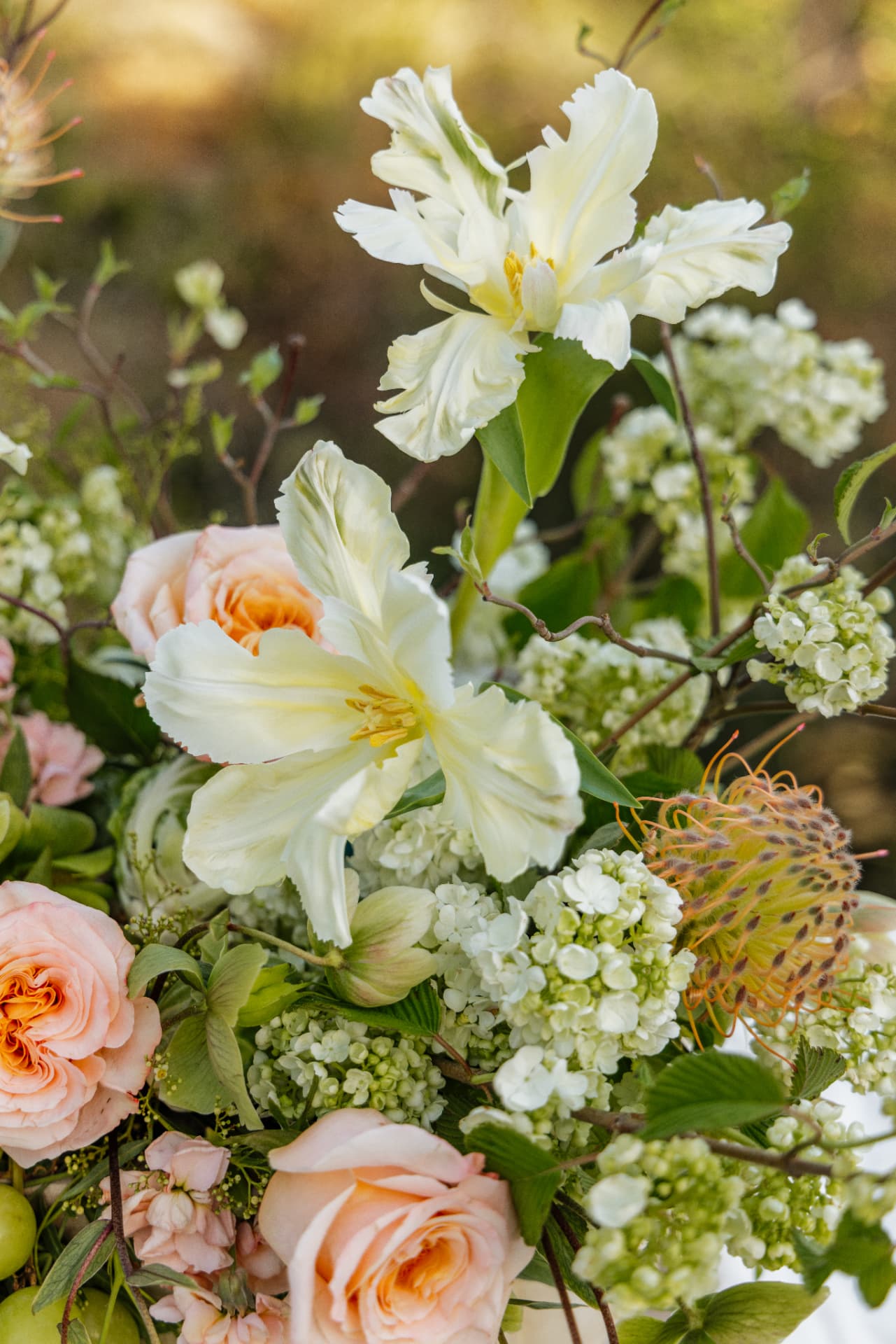 White parrot tulips with peach roses in a garden arrangement